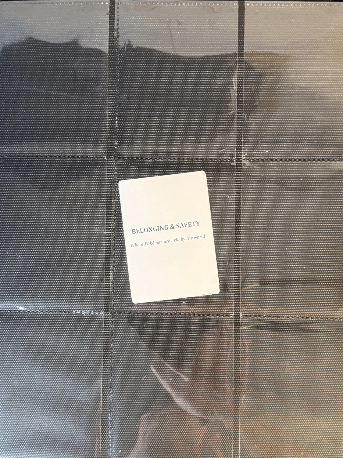 Belonging and Safety chapter divider card seated in a binder page